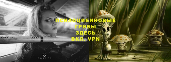 стаф Рославль