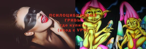 СК Абинск