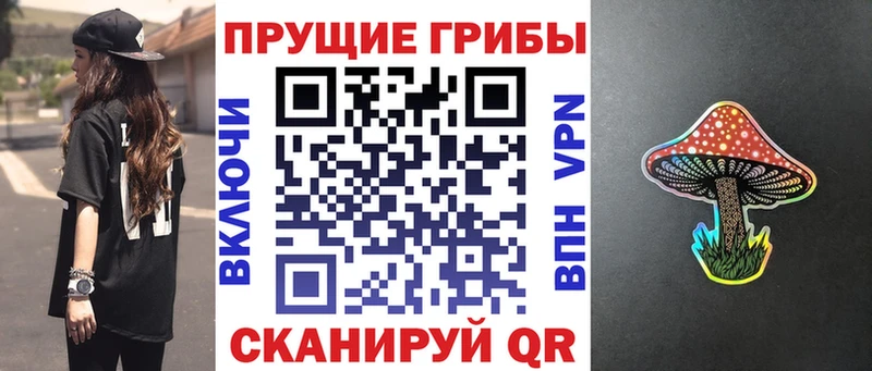 Псилоцибиновые грибы Psilocybine cubensis  закладка  Абдулино 